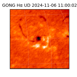 gong - 2024-11-06T11:00:02