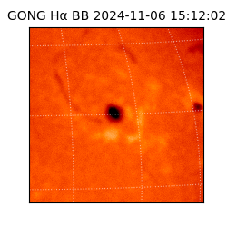 gong - 2024-11-06T15:12:02