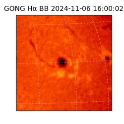 gong - 2024-11-06T16:00:02