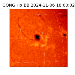 gong - 2024-11-06T18:00:02