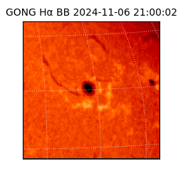 gong - 2024-11-06T21:00:02