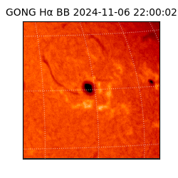 gong - 2024-11-06T22:00:02