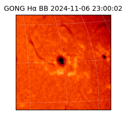 gong - 2024-11-06T23:00:02