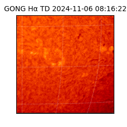 gong - 2024-11-06T08:16:22