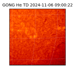 gong - 2024-11-06T09:00:22