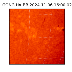 gong - 2024-11-06T16:00:02