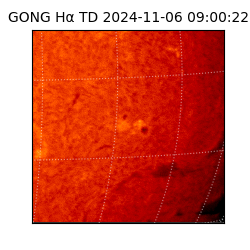 gong - 2024-11-06T09:00:22