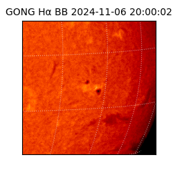 gong - 2024-11-06T20:00:02