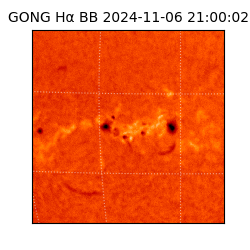 gong - 2024-11-06T21:00:02