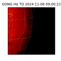 gong - 2024-11-06T09:00:22