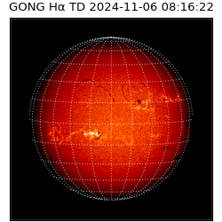 gong - 2024-11-06T08:16:22