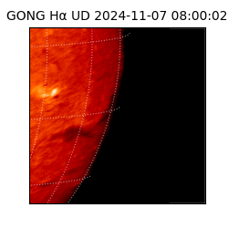 gong - 2024-11-07T08:00:02