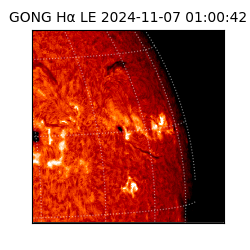 gong - 2024-11-07T01:00:42