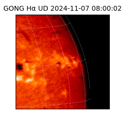 gong - 2024-11-07T08:00:02