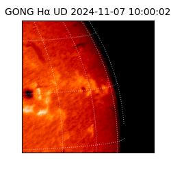 gong - 2024-11-07T10:00:02