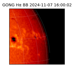 gong - 2024-11-07T16:00:02