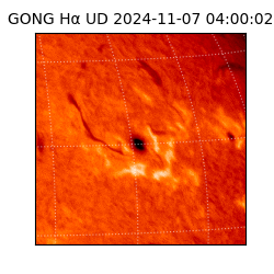 gong - 2024-11-07T04:00:02