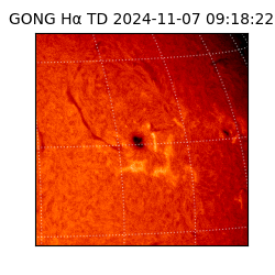 gong - 2024-11-07T09:18:22