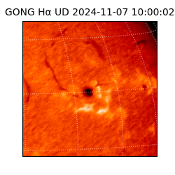 gong - 2024-11-07T10:00:02