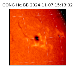 gong - 2024-11-07T15:13:02
