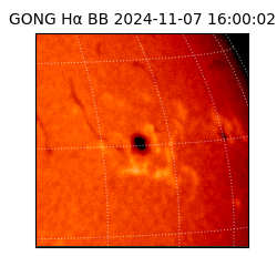 gong - 2024-11-07T16:00:02