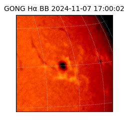 gong - 2024-11-07T17:00:02