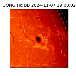 gong - 2024-11-07T19:00:02