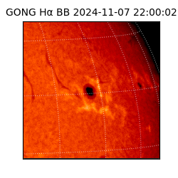 gong - 2024-11-07T22:00:02