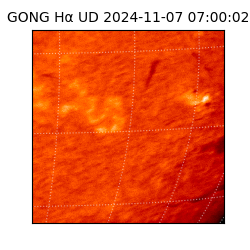 gong - 2024-11-07T07:00:02