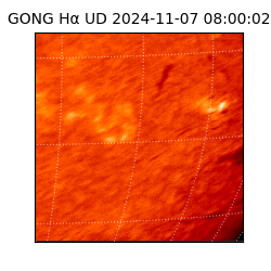 gong - 2024-11-07T08:00:02