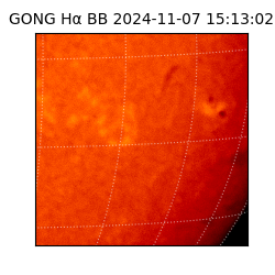 gong - 2024-11-07T15:13:02