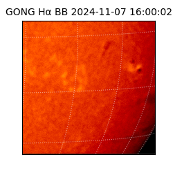 gong - 2024-11-07T16:00:02