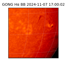 gong - 2024-11-07T17:00:02