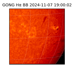 gong - 2024-11-07T19:00:02