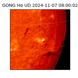 gong - 2024-11-07T08:00:02