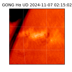 gong - 2024-11-07T02:15:02