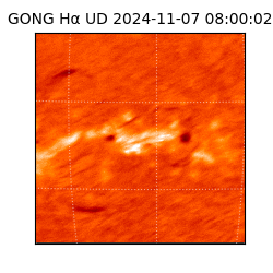 gong - 2024-11-07T08:00:02