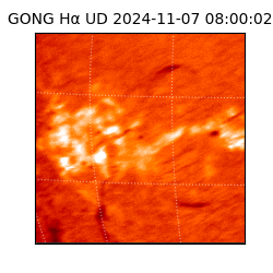 gong - 2024-11-07T08:00:02