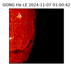 gong - 2024-11-07T01:00:42