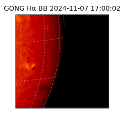 gong - 2024-11-07T17:00:02