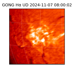gong - 2024-11-07T08:00:02