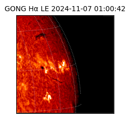 gong - 2024-11-07T01:00:42