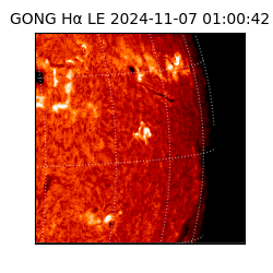 gong - 2024-11-07T01:00:42