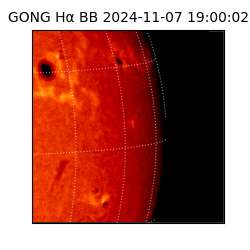 gong - 2024-11-07T19:00:02