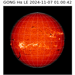 gong - 2024-11-07T01:00:42