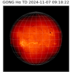 gong - 2024-11-07T09:18:22