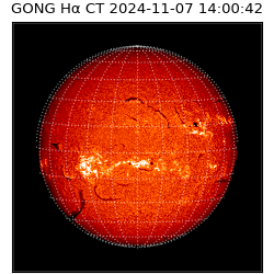 gong - 2024-11-07T14:00:42