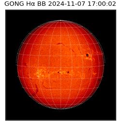 gong - 2024-11-07T17:00:02