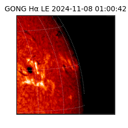 gong - 2024-11-08T01:00:42