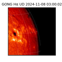 gong - 2024-11-08T03:00:02